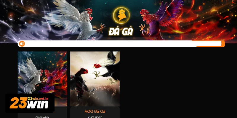 Thông tin về danh mục đá gà 23WIN
